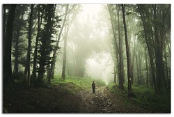 Obraz na stenu ZS - bez pomeru strán